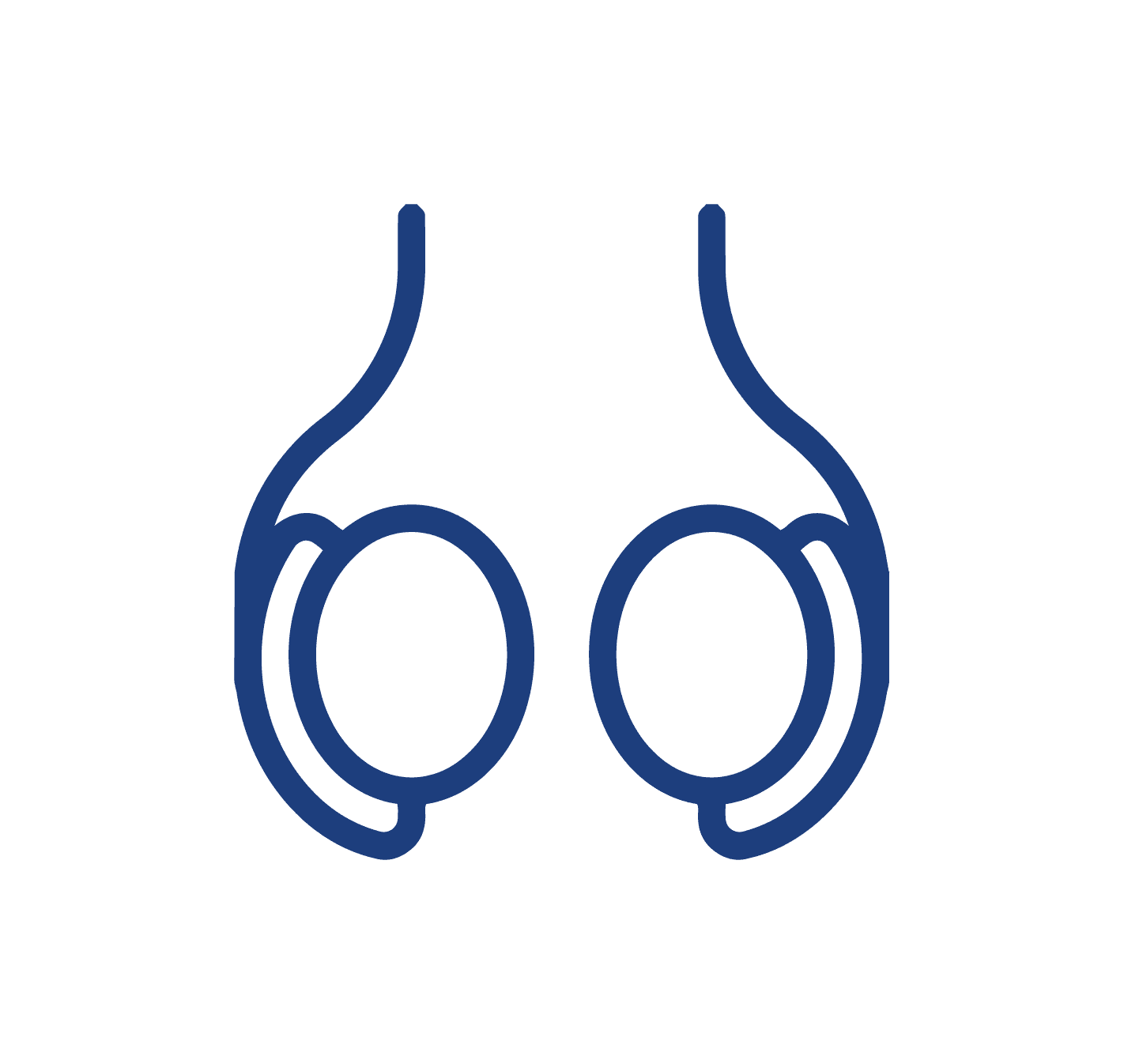 Próstata y testículos
